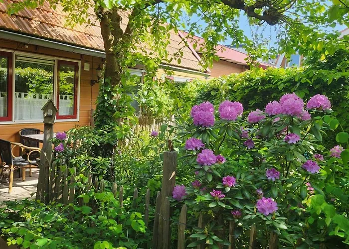 't Zwanennest